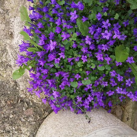 Willa O Jardin De Boutancourt Zewnętrze zdjęcie