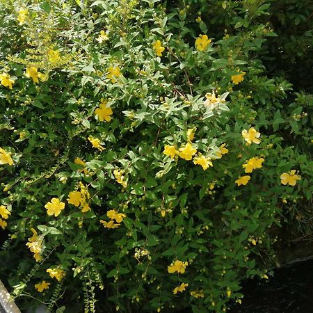 Willa O Jardin De Boutancourt Zewnętrze zdjęcie