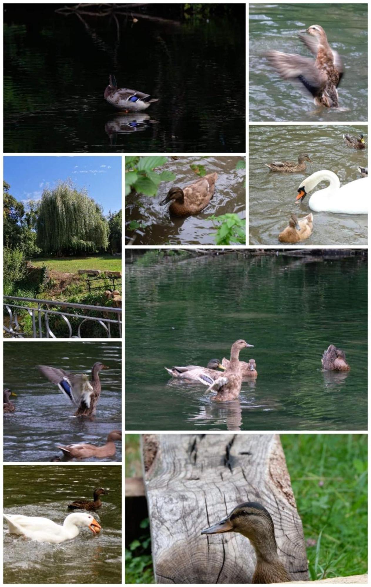 Willa O Jardin De Boutancourt Zewnętrze zdjęcie