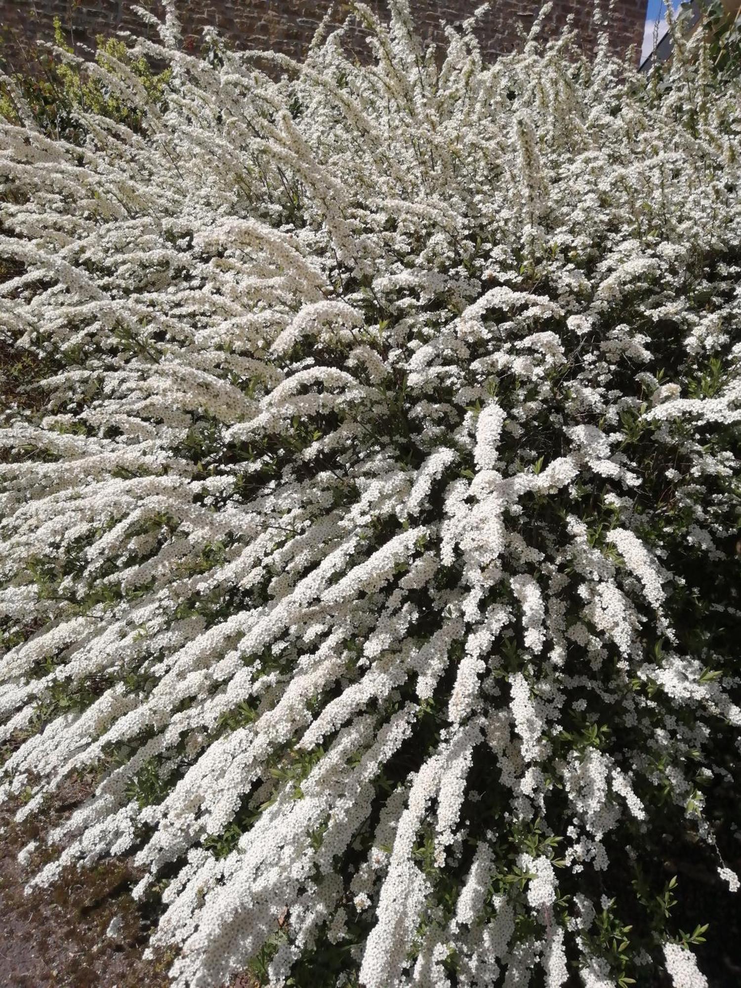 Willa O Jardin De Boutancourt Zewnętrze zdjęcie