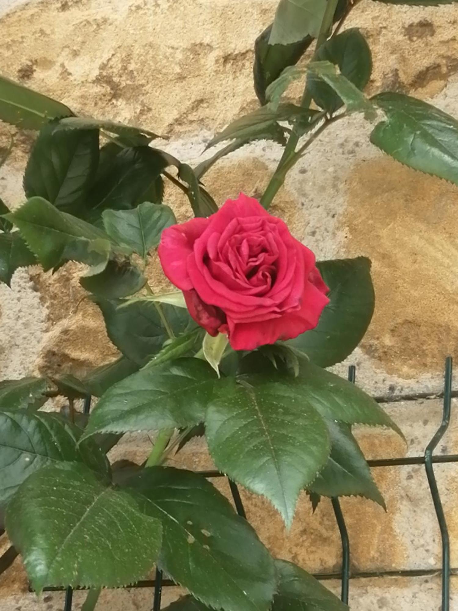 Willa O Jardin De Boutancourt Zewnętrze zdjęcie