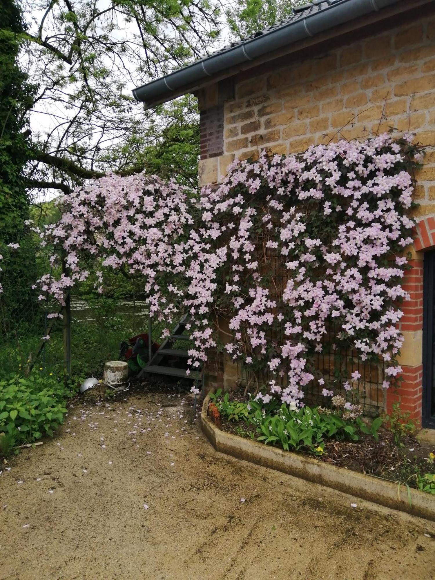 Willa O Jardin De Boutancourt Zewnętrze zdjęcie