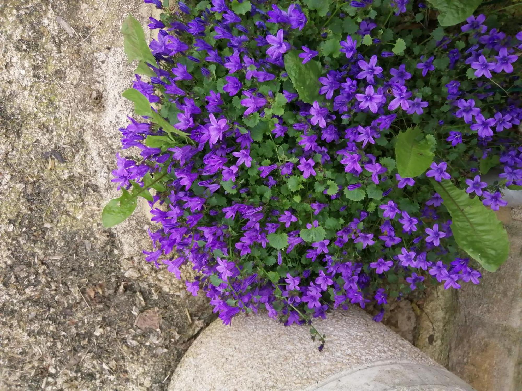 Willa O Jardin De Boutancourt Zewnętrze zdjęcie