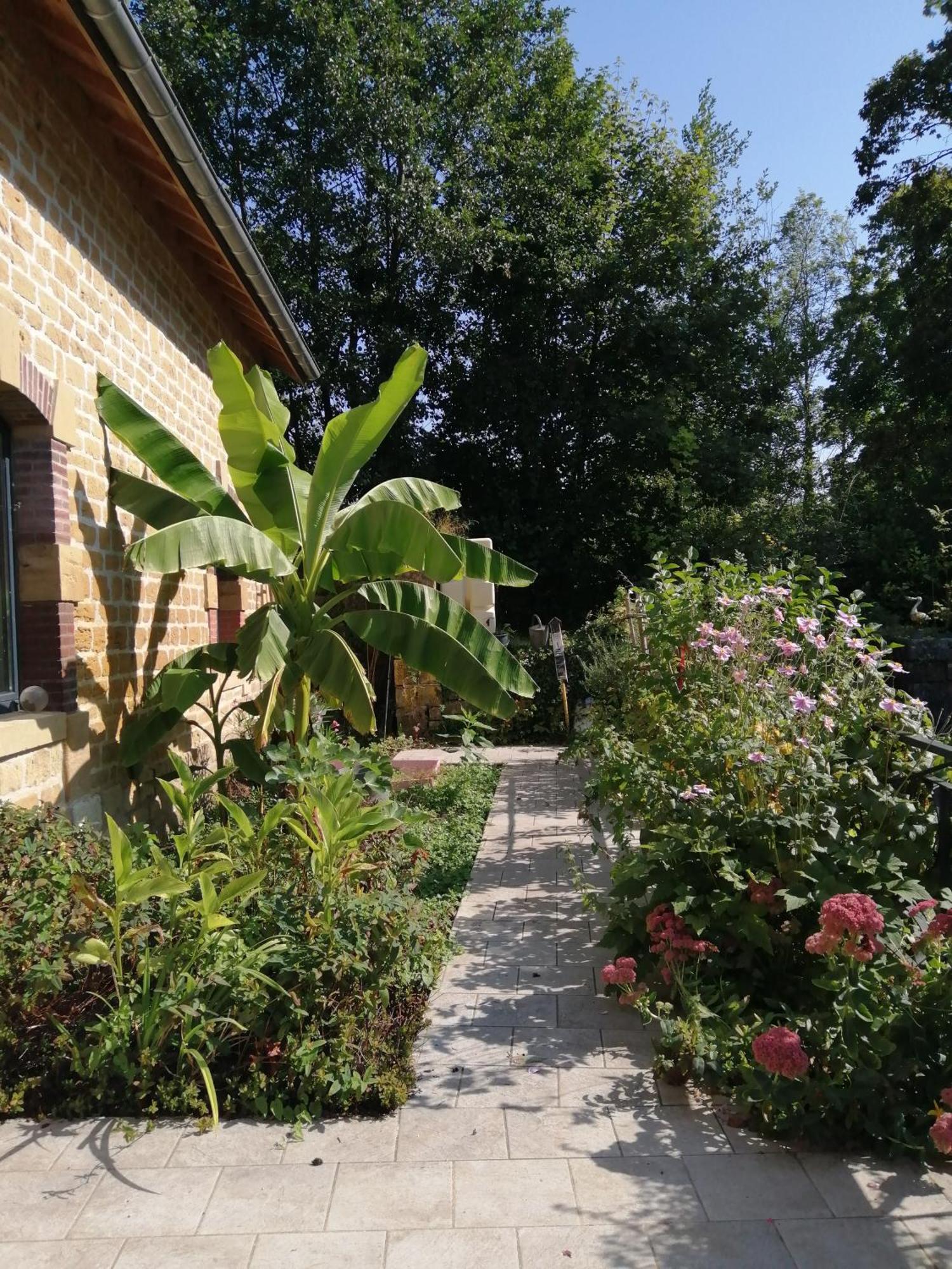 Willa O Jardin De Boutancourt Zewnętrze zdjęcie