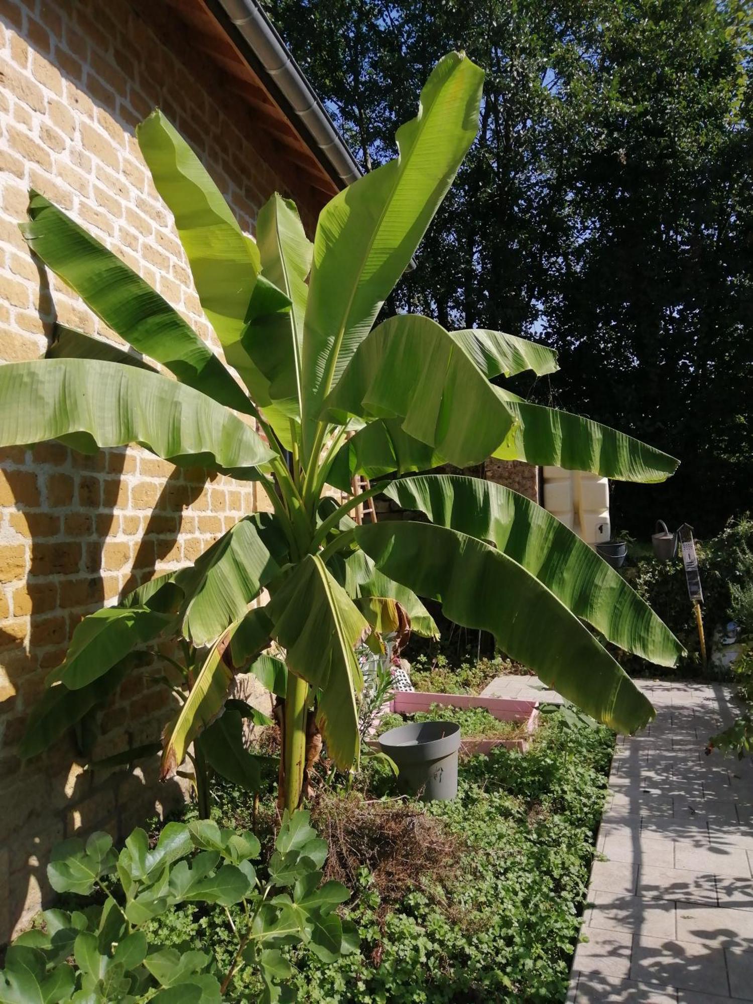 Willa O Jardin De Boutancourt Zewnętrze zdjęcie