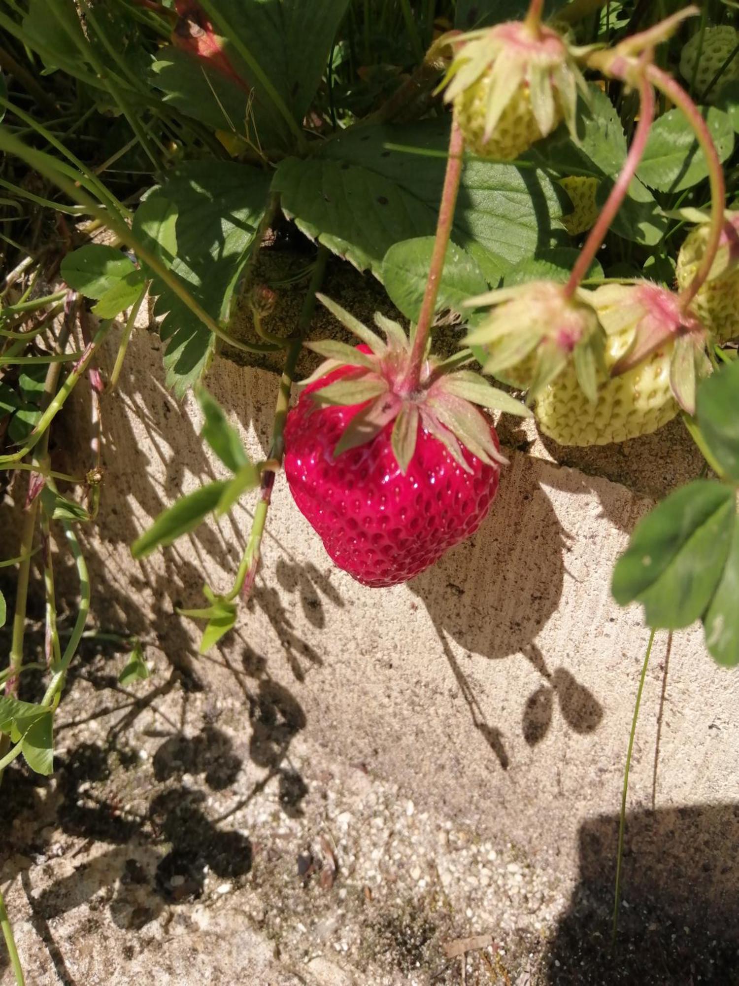Willa O Jardin De Boutancourt Zewnętrze zdjęcie