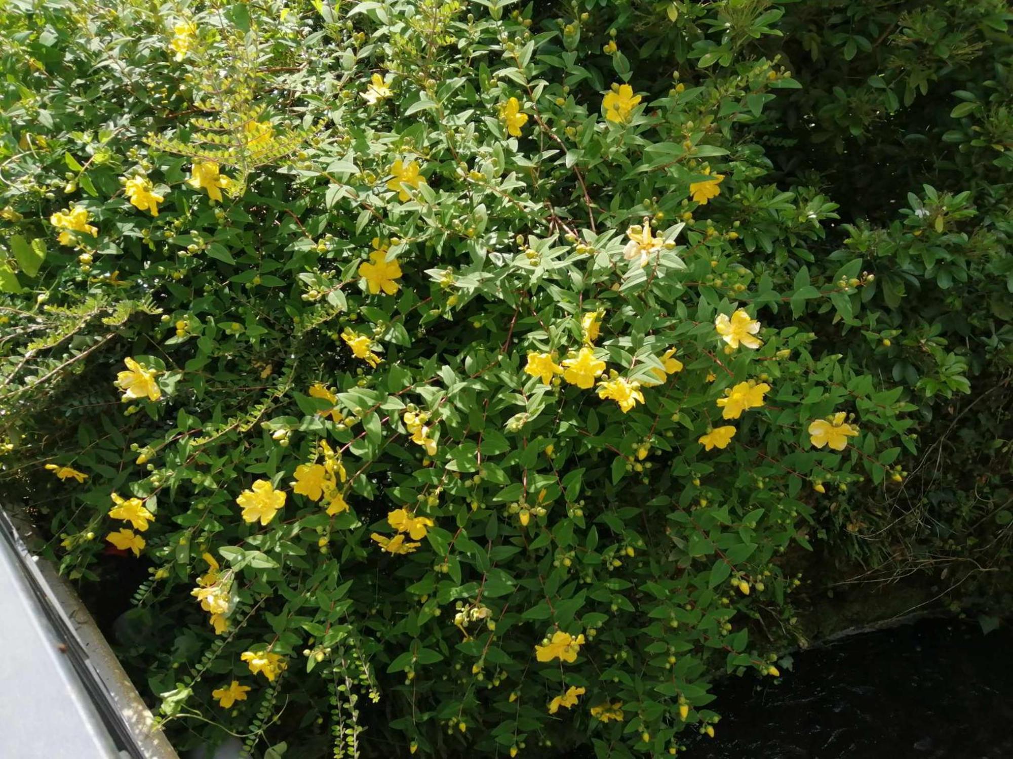Willa O Jardin De Boutancourt Zewnętrze zdjęcie