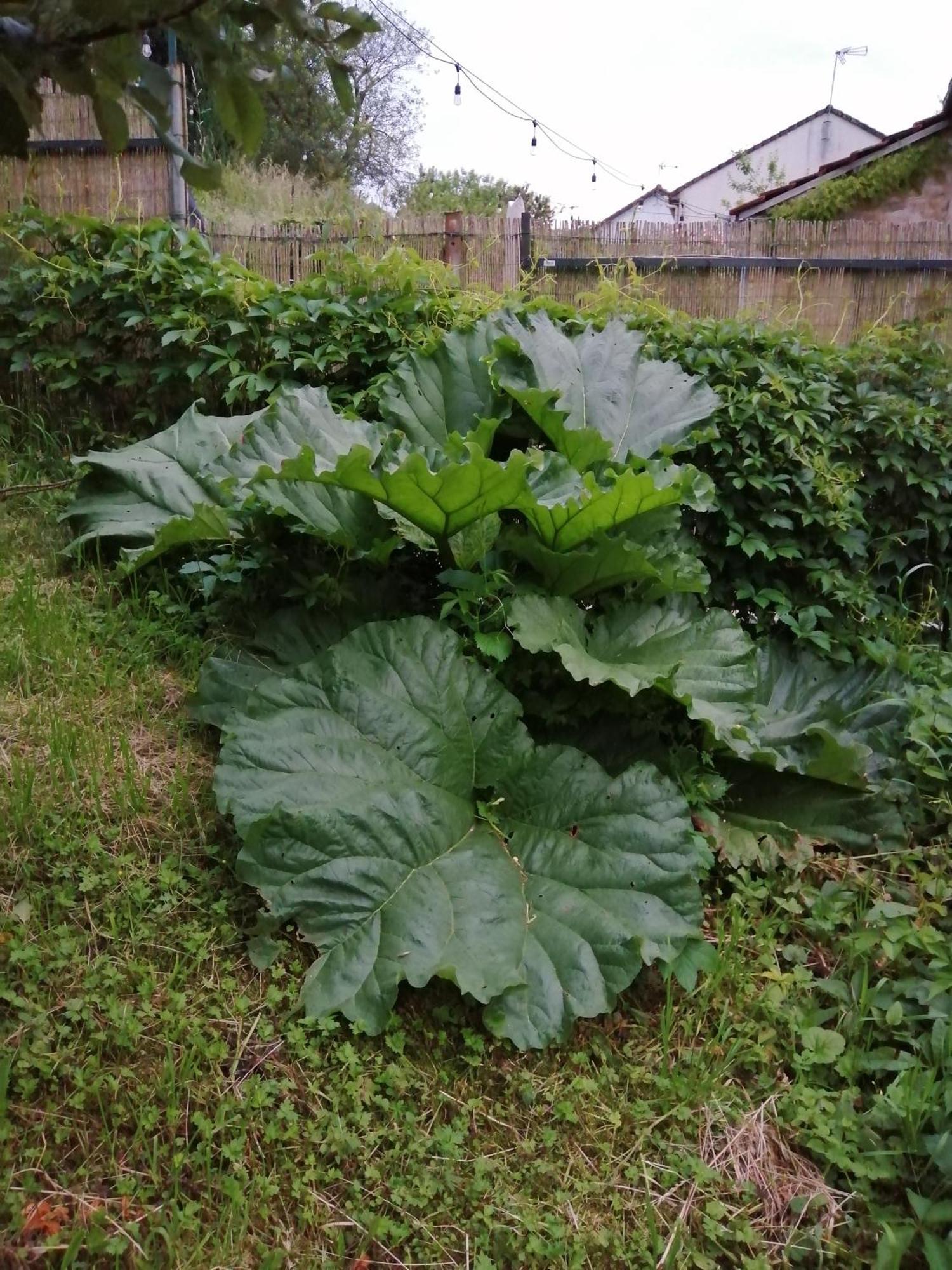 Willa O Jardin De Boutancourt Zewnętrze zdjęcie