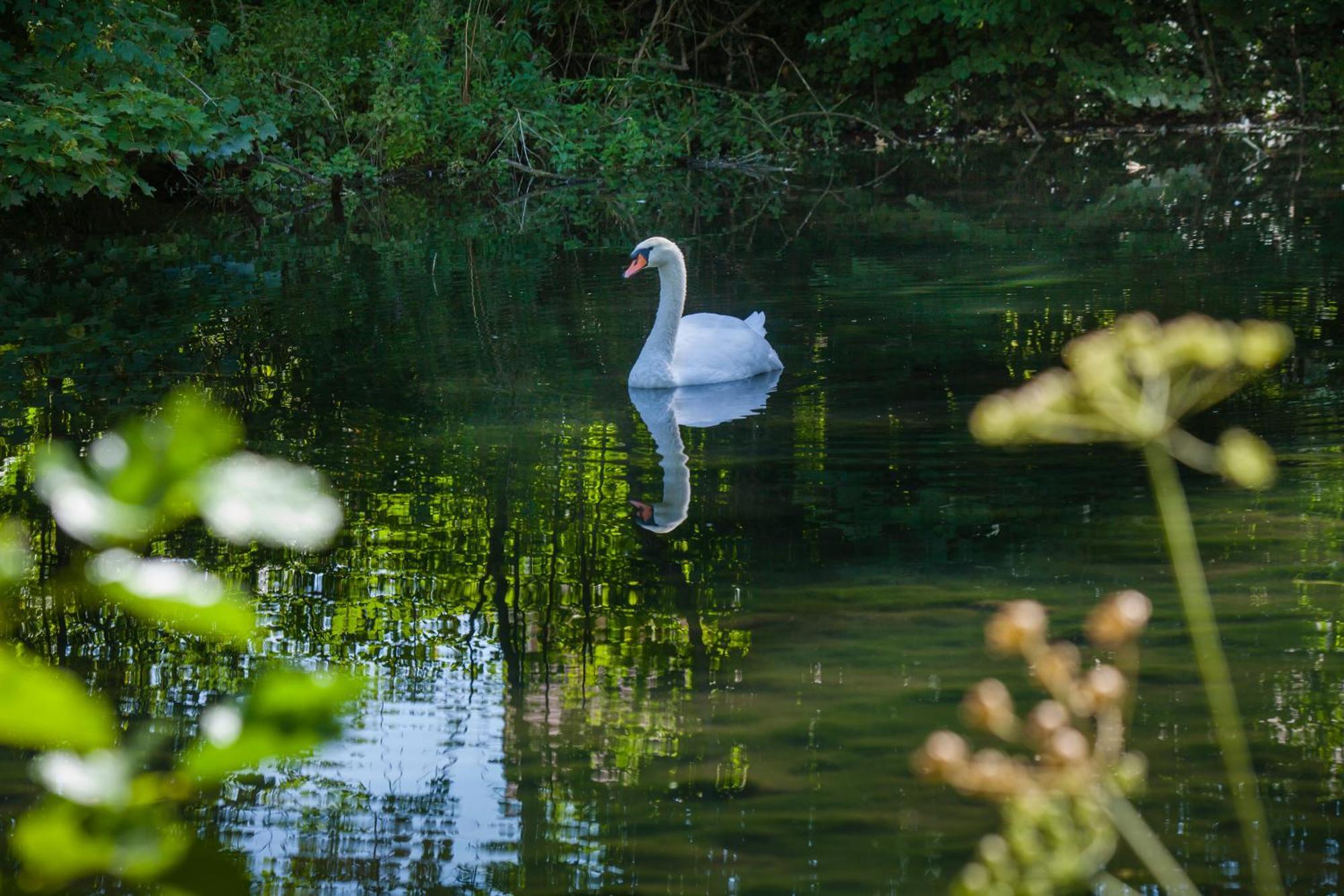 Willa O Jardin De Boutancourt Zewnętrze zdjęcie