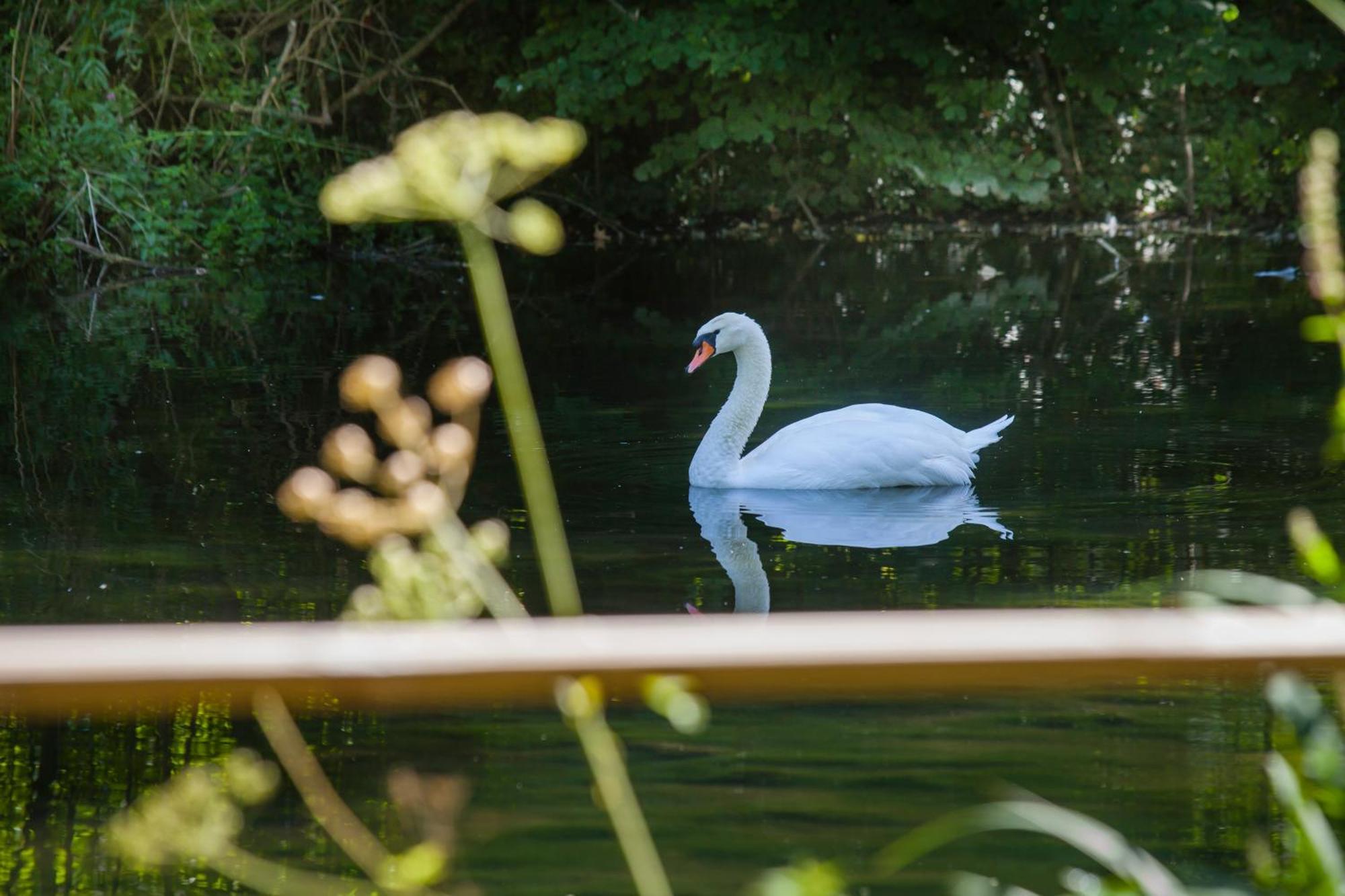 Willa O Jardin De Boutancourt Zewnętrze zdjęcie